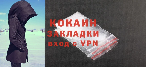 шишки Богородск