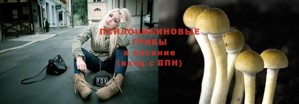 spice Богданович