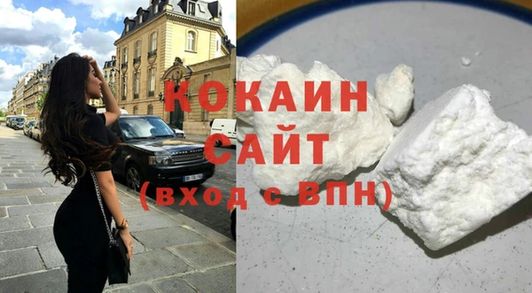 шишки Богородск