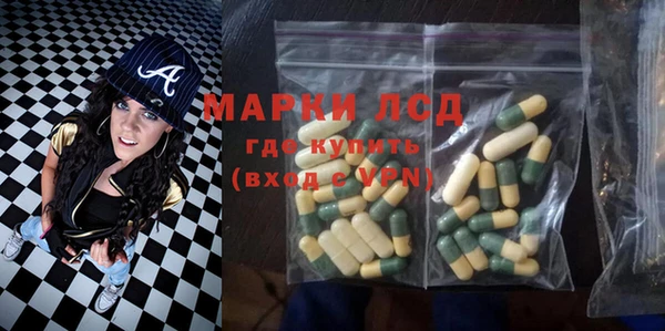 spice Богданович