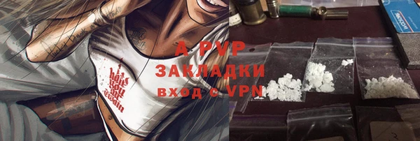 spice Богданович